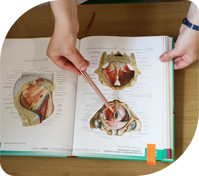 Fizjoterapia uroginekologiczna